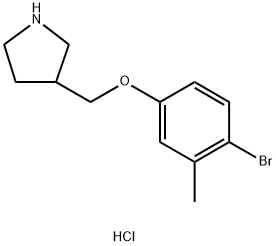 3-[(4-Bromo-3-methylphenoxy)methyl]pyrrolidinehydrochloride,1219949-00-4,结构式
