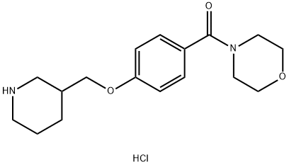 4-[4-(Piperidin-3-ylmethoxy)benzoyl]morpholine hydrochloride 化学構造式