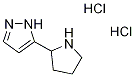 5-Pyrrolidin-2-yl-1H-pyrazole dihydrochloride|5-吡咯烷-2-基-1H-吡唑二盐酸盐