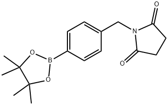 1-[4-(4,4,5,5-Tetramethyl-[1,3,2]dioxaborolan-2-yl)-benzyl]-pyrrolidine-2,5-dione|1-[4-(4,4,5,5-Tetramethyl-[1,3,2]dioxaborolan-2-yl)-benzyl]-pyrrolidine-2,5-dione