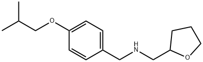 (4-Isobutoxyphenyl)-N-(tetrahydro-2-furanylmethyl)methanamine Structure