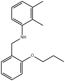 2,3-Dimethyl-N-(2-propoxybenzyl)aniline Structure