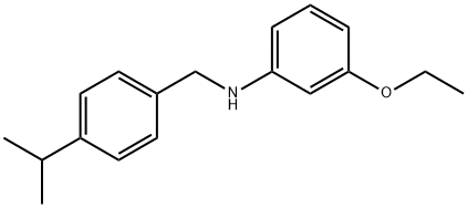 3-Ethoxy-N-(4-isopropylbenzyl)aniline 结构式