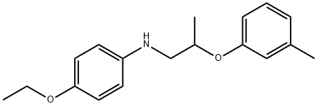 4-Ethoxy-N-[2-(3-methylphenoxy)propyl]aniline Structure