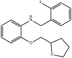 N-(2-Fluorobenzyl)-2-(tetrahydro-2-furanylmethoxy)aniline Structure
