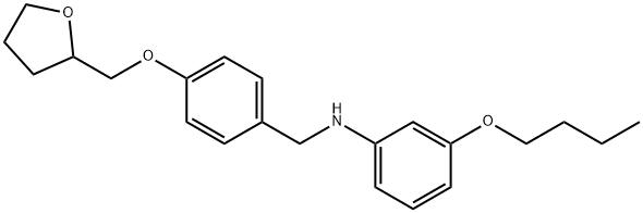 N-(3-Butoxyphenyl)-N-[4-(tetrahydro-2-furanylmethoxy)benzyl]amine Struktur