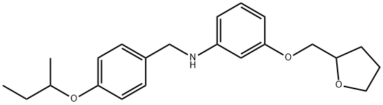 N-[4-(sec-Butoxy)benzyl]-3-(tetrahydro-2-furanylmethoxy)aniline 化学構造式