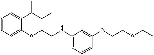 N-{2-[2-(sec-Butyl)phenoxy]ethyl}-3-(2-ethoxyethoxy)aniline 结构式