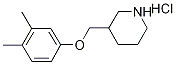 3-[(3,4-Dimethylphenoxy)methyl]piperidinehydrochloride,1220019-75-9,结构式