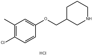 4-Chloro-3-methylphenyl 3-piperidinylmethyl etherhydrochloride 化学構造式