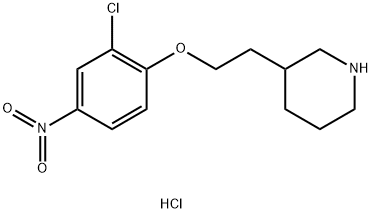 3-[2-(2-Chloro-4-nitrophenoxy)ethyl]piperidinehydrochloride 化学構造式