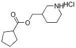 3-Piperidinylmethyl cyclopentanecarboxylatehydrochloride 结构式