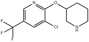 3-Chloro-2-(piperidin-3-yloxy)-5-(trifluoromethyl)pyridine Structure