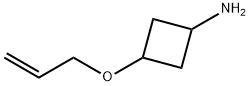 3-(allyloxy)azetidine 化学構造式