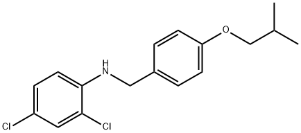 2,4-Dichloro-N-(4-isobutoxybenzyl)aniline|