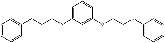 3-(2-Phenoxyethoxy)-N-(3-phenylpropyl)aniline 结构式