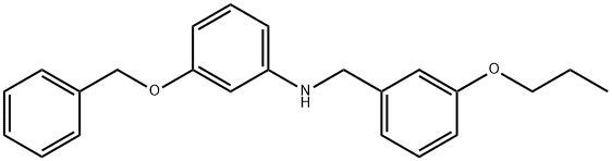 3-(Benzyloxy)-N-(3-propoxybenzyl)aniline 化学構造式