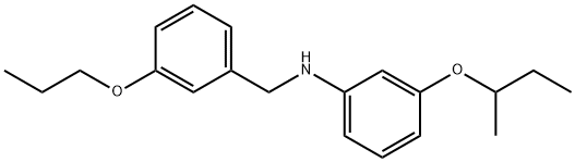 3-(sec-Butoxy)-N-(3-propoxybenzyl)aniline Structure