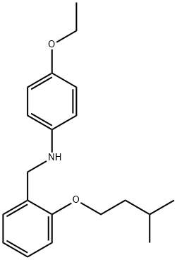 4-エトキシ-N-[2-(イソペンチルオキシ)ベンジル]アニリン 化学構造式