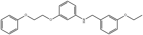 N-(3-Ethoxybenzyl)-3-(2-phenoxyethoxy)aniline Struktur