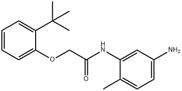 N-(5-Amino-2-methylphenyl)-2-[2-(tert-butyl)-phenoxy]acetamide 化学構造式