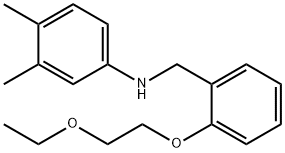 N-[2-(2-Ethoxyethoxy)benzyl]-3,4-dimethylaniline