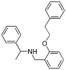 N-[2-(Phenethyloxy)benzyl]-1-phenyl-1-ethanamine Structure