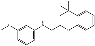 N-{2-[2-(tert-Butyl)phenoxy]ethyl}-3-methoxyaniline|