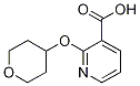 2-(Tetrahydro-2H-pyran-4-yloxy)nicotinic  acid