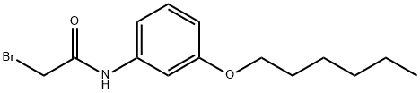 2-Bromo-N-[3-(hexyloxy)phenyl]acetamide Struktur