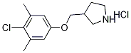 3-[(4-Chloro-3,5-dimethylphenoxy)methyl]-pyrrolidine hydrochloride Structure