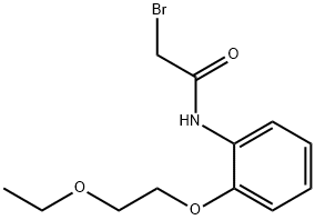 2-Bromo-N-[2-(2-ethoxyethoxy)phenyl]acetamide Struktur