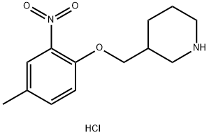 3-[(4-Methyl-2-nitrophenoxy)methyl]piperidinehydrochloride|