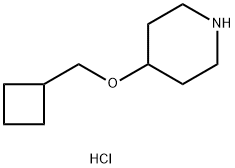 4-(Cyclobutylmethoxy)piperidine hydrochloride Struktur