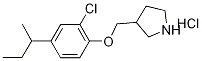 3-{[4-(sec-Butyl)-2-chlorophenoxy]-methyl}pyrrolidine hydrochloride,1219979-34-6,结构式