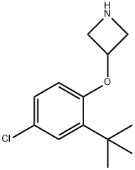 3-[2-(tert-Butyl)-4-chlorophenoxy]azetidine,1146960-45-3,结构式