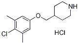 4-[(4-Chloro-3,5-dimethylphenoxy)methyl]piperidine hydrochloride Structure