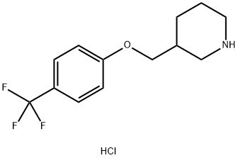 3-{[4-(Trifluoromethyl)phenoxy]methyl}piperidinehydrochloride Structure