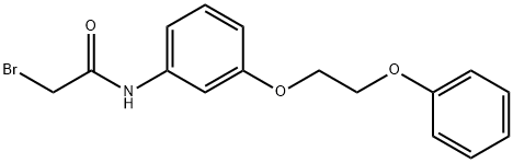 2-Bromo-N-[3-(2-phenoxyethoxy)phenyl]acetamide,1138442-39-3,结构式