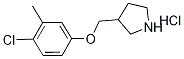 4-Chloro-3-methylphenyl 3-pyrrolidinylmethylether hydrochloride Structure