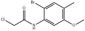 N-(2-Bromo-5-methoxy-4-methylphenyl)-2-chloroacetamide|N-(2-溴-5-甲氧基-4-甲基苯基)-2-氯乙酰胺
