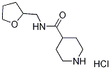 N-(Tetrahydro-2-furanylmethyl)-4-piperidinecarboxamide hydrochloride|N-(Tetrahydro-2-furanylmethyl)-4-piperidinecarboxamide hydrochloride