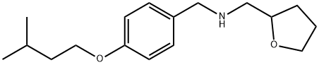 [4-(Isopentyloxy)phenyl]-N-(tetrahydro-2-furanylmethyl)methanamine Structure