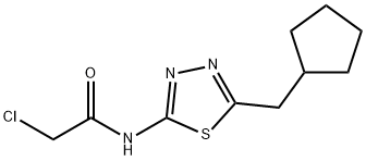 2-Chloro-N-[5-(cyclopentylmethyl)-1,3,4-thiadiazol-2-yl]acetamide Structure