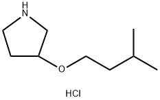 3-(Isopentyloxy)pyrrolidine hydrochloride,1185301-63-6,结构式