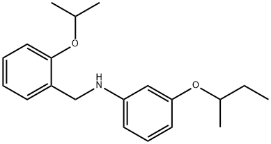 3-(sec-Butoxy)-N-(2-isopropoxybenzyl)aniline,1040686-09-6,结构式