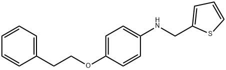 4-(Phenethyloxy)-N-(2-thienylmethyl)aniline,1040693-88-6,结构式