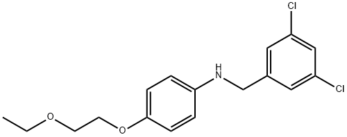 N-(3,5-Dichlorobenzyl)-4-(2-ethoxyethoxy)aniline,1040687-27-1,结构式