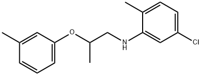 N-(5-Chloro-2-methylphenyl)-N-[2-(3-methyl-phenoxy)propyl]amine|