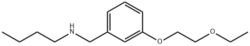 N-[3-(2-Ethoxyethoxy)benzyl]-1-butanamine 结构式